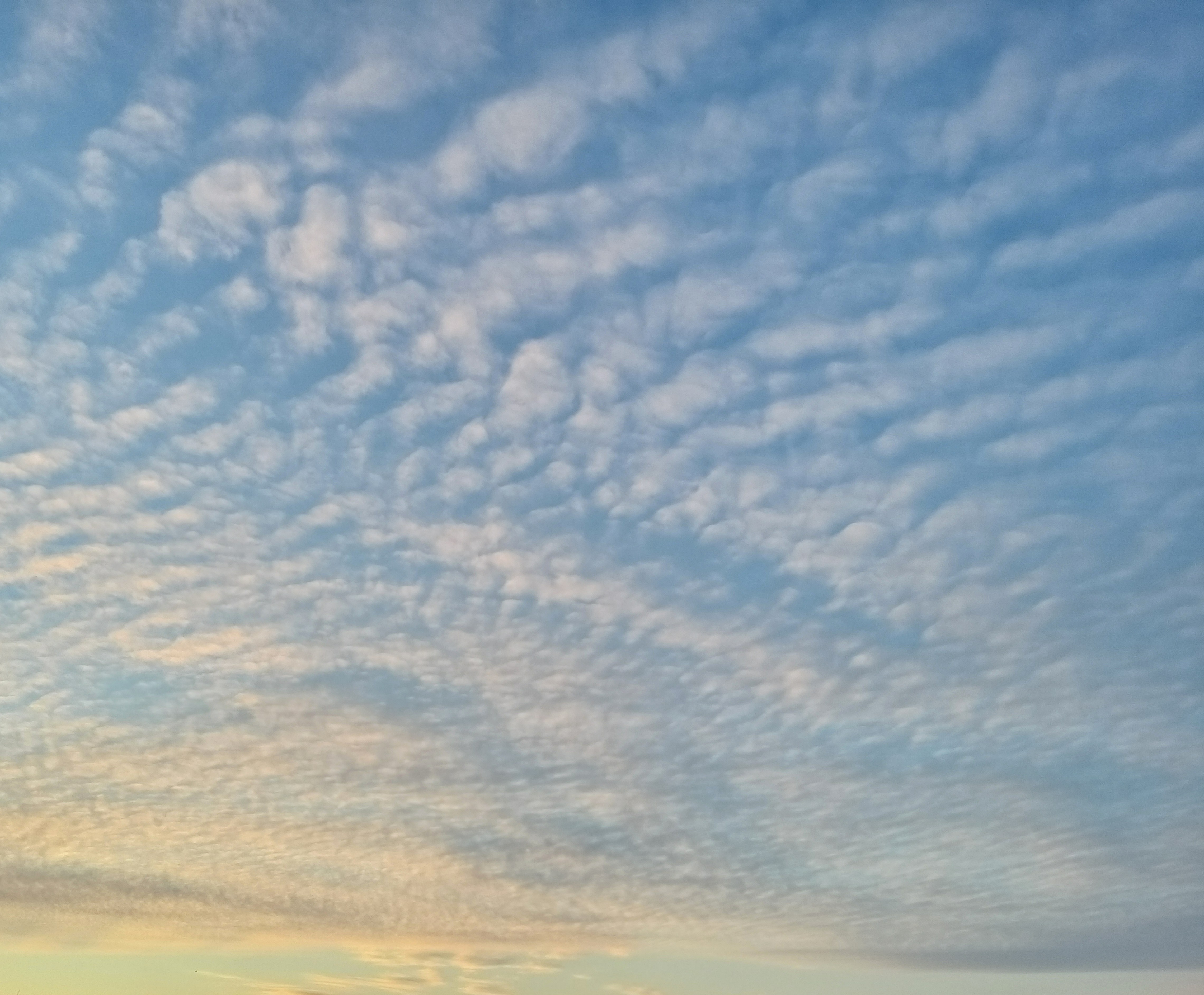 Palleropilviä sinitaivaalla. Kuvan alalaidassa pilvet hieman auringonlaskun punertamia.