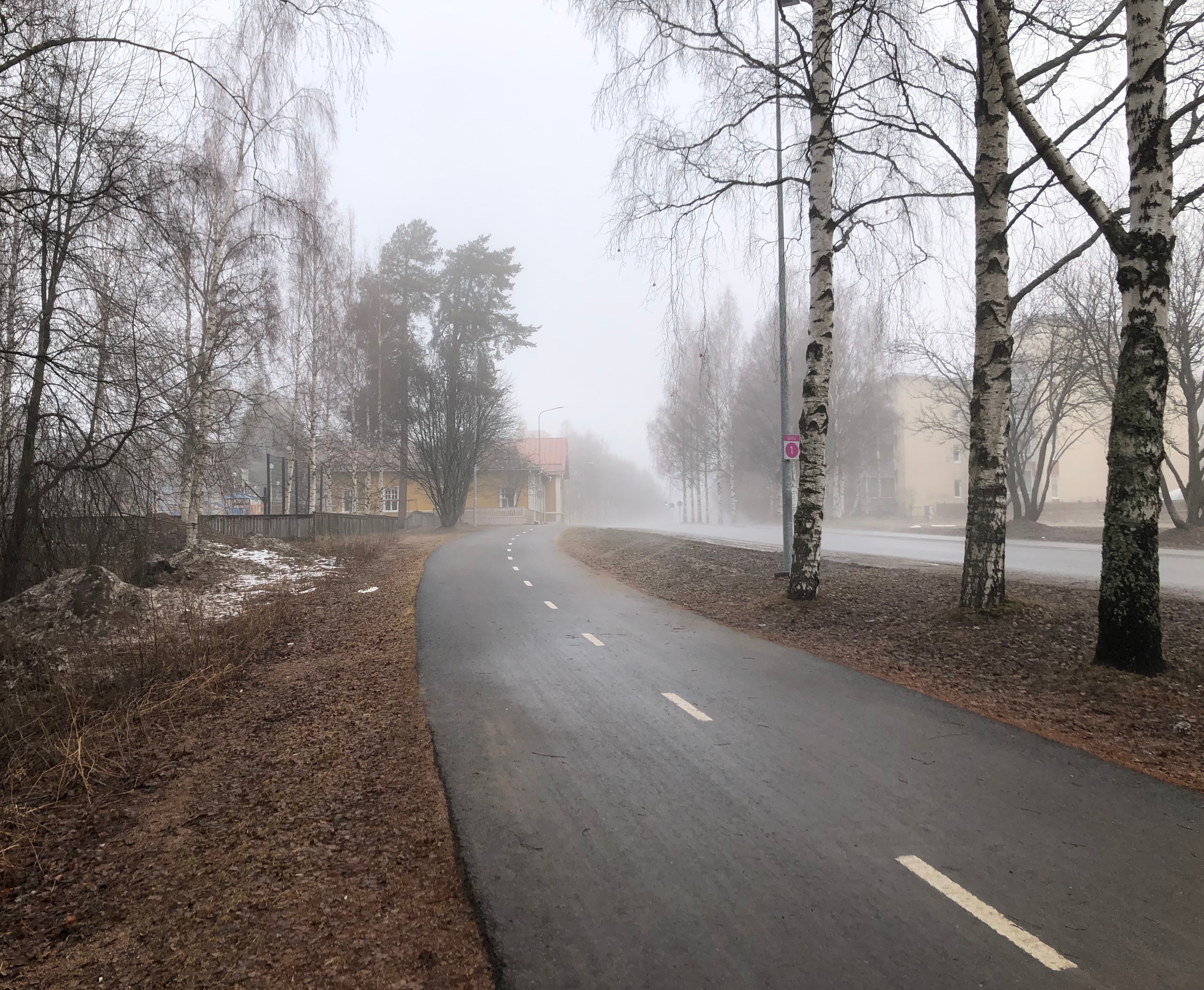 Näkymä Oulun pyöräilyn pääreitti 1:ltä: sumun seassa keltainen koulurakennus ja oikealla kerrostaloja.