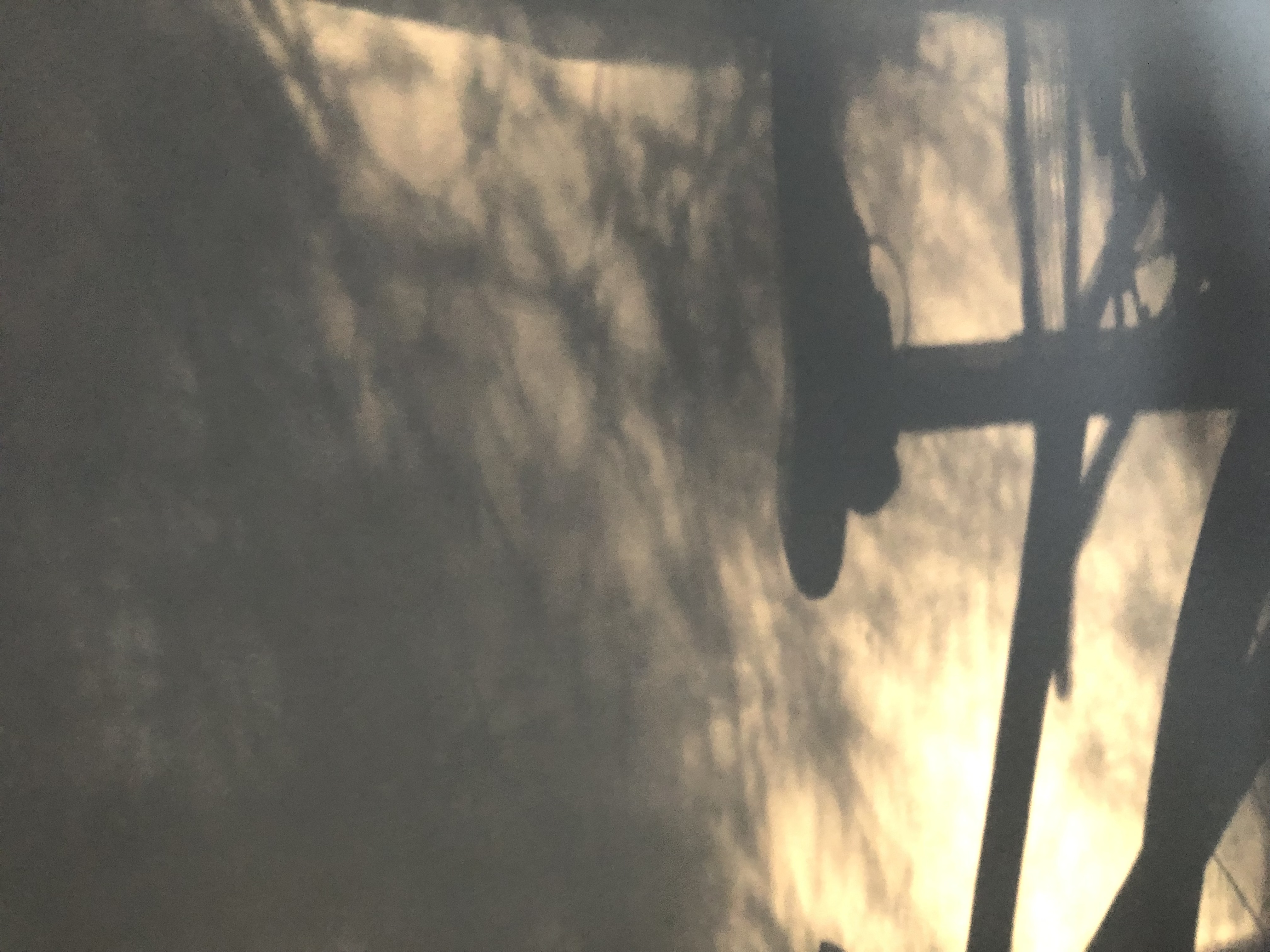 Pyörän satulan varjo seinällä, jota puunoksien lomasta paistava aurinko valaisee.