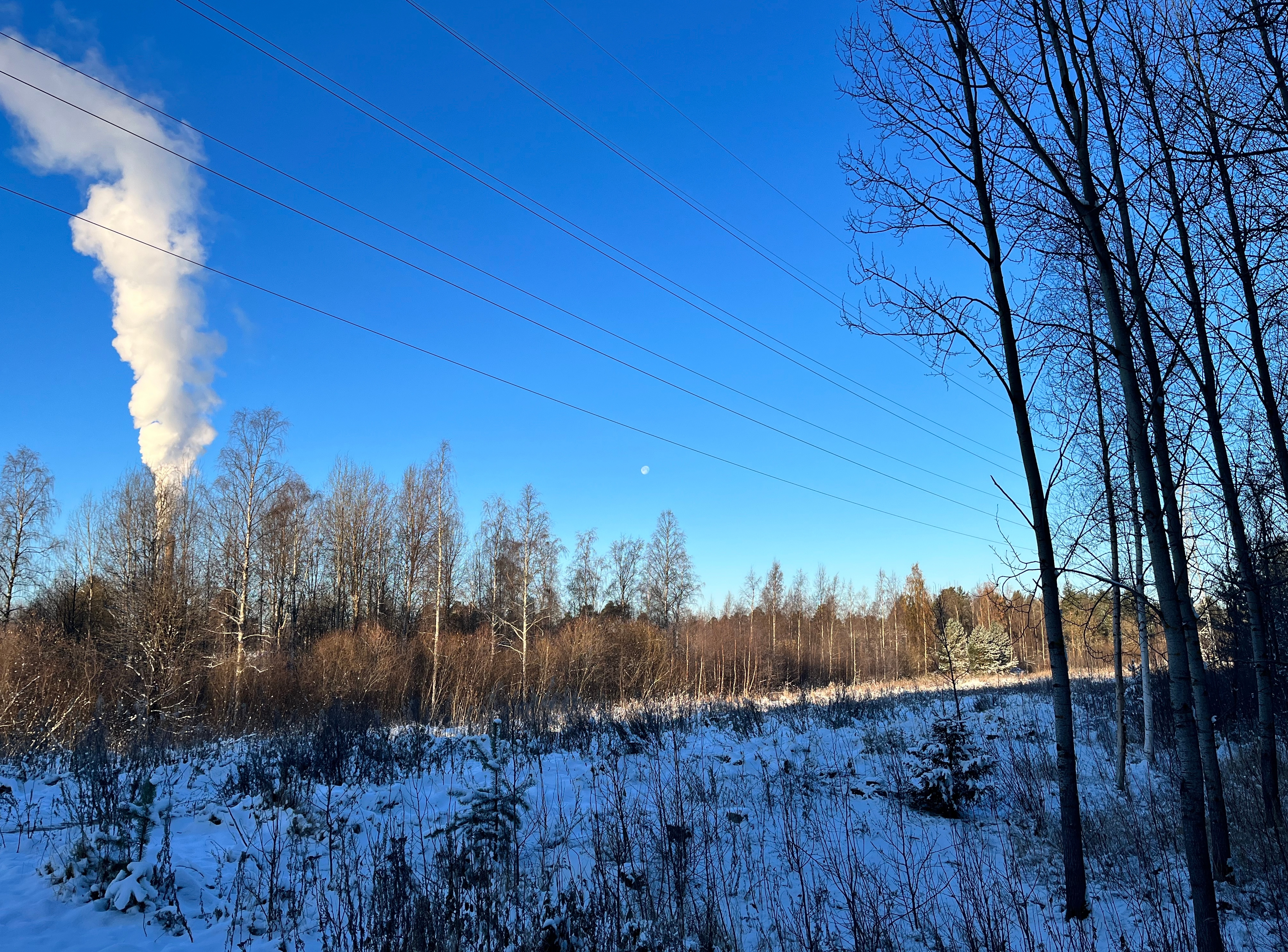 Lähes täysi kuu sinisellä päivätaivaalla. Vasemmalla puiden takana Toppilan voimalan piippu tupruttaa valkoista savua. Oikealla etualalla lisää lehdettömiä puita. Voimajohtoja kulkee kuvan ylävasemmalta (kuvan ottajan takaa) oikealle keskelle (kuvaajasta poispäin). Päivänvalon ja varjon raja kulkee voimajohtojen alla olevalla raivauslinja johtojen myötäisesti.