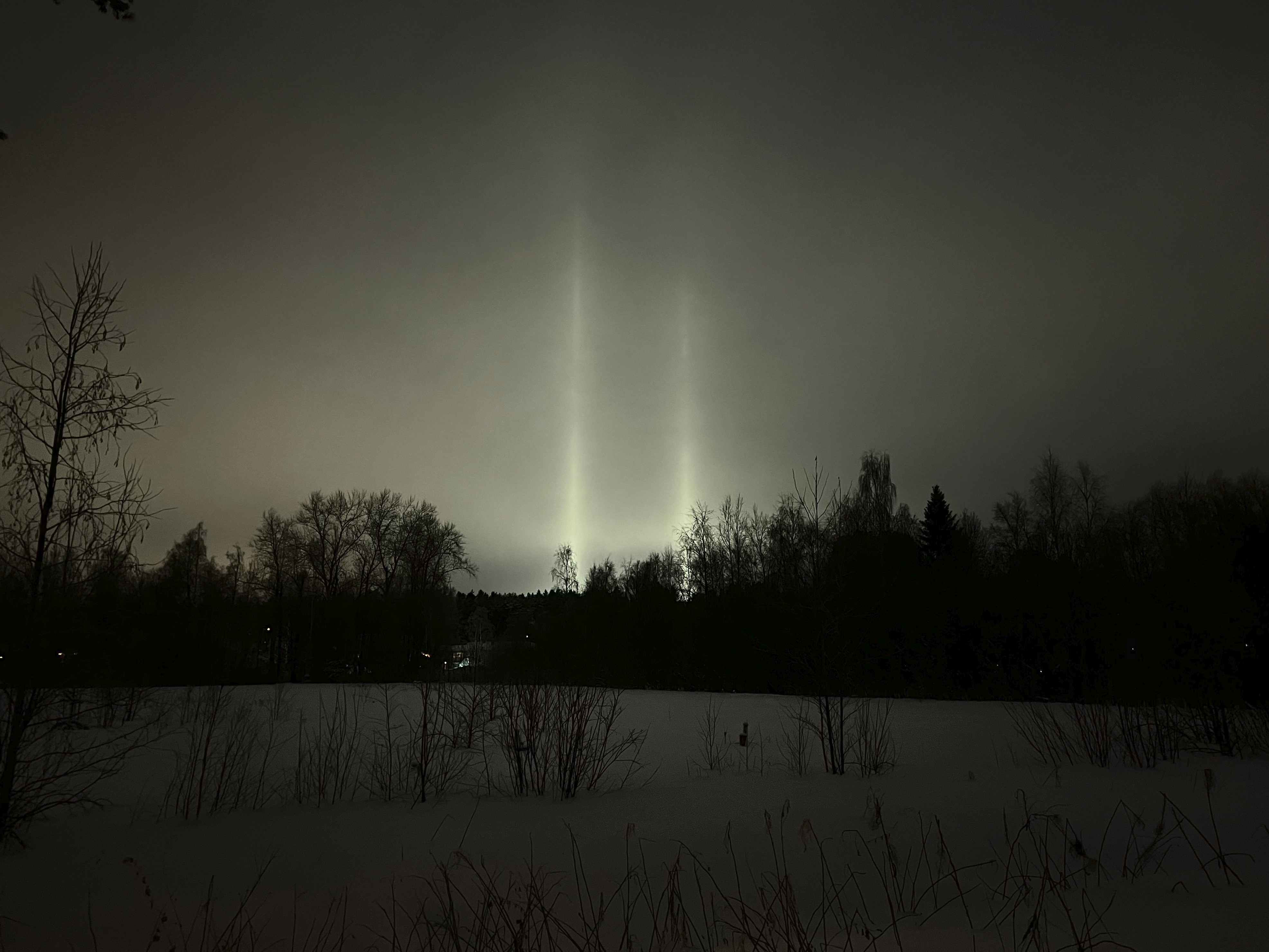 Kaksi kellertävänvalkoista keinovalopilaria horisontissa, metsän mustan siluetin takana. Edustalla puuton, luminen kenttä, jolla mustia talventörröttäjiä.
