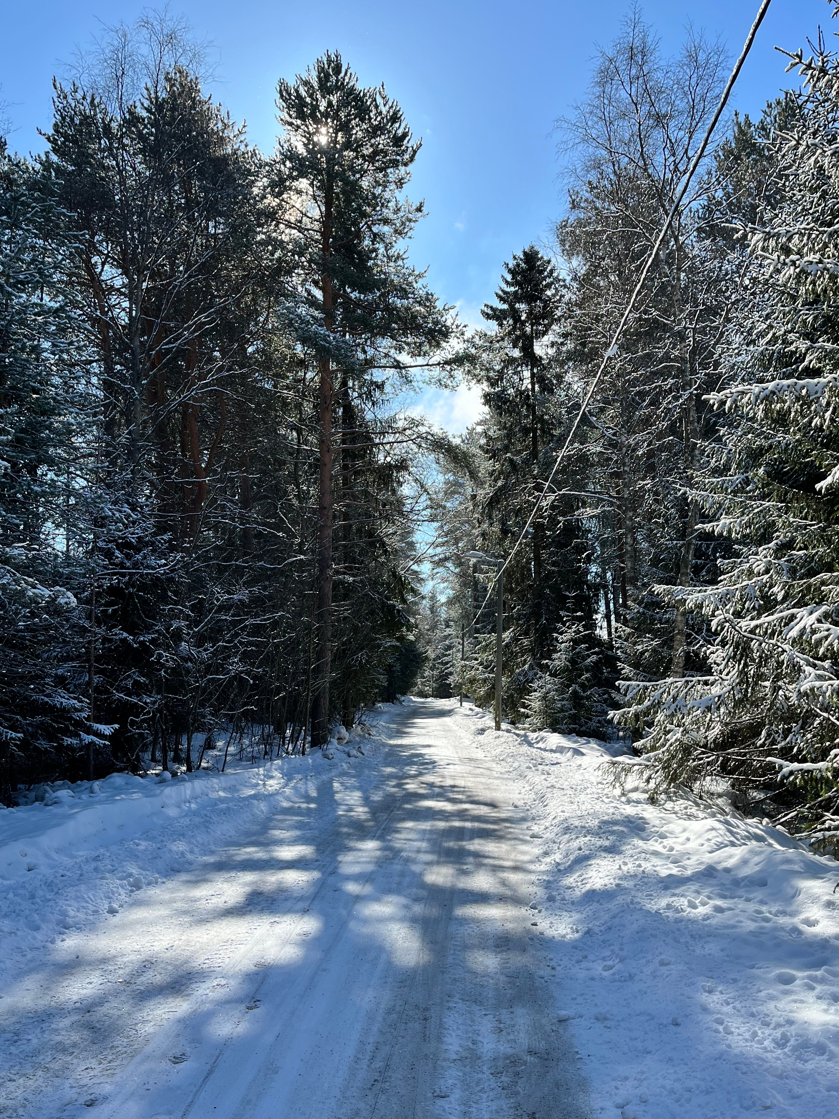 Luminen, aurattu kevyen liikenteen väylä keväällä: aurinko paistaa lähes pilvettömältä taivaalta männyn latvan takana. Väylän oikealla laidalla katuvalopylväitä, joita yhdistää luminen ilmajohto.